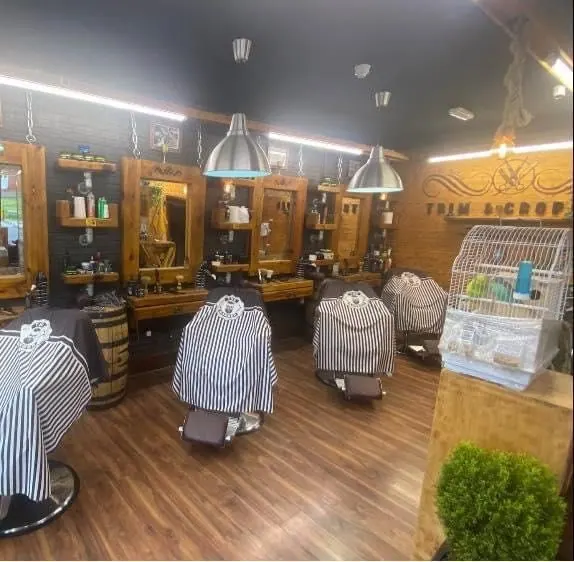 Inside Trim & Cropper: the chairs, mirrors and timber walls